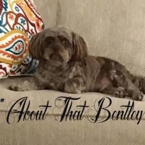 Meet your Posher, Judy